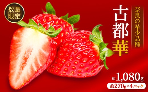 いちご ことか 約1080g 約270g×4パック 古都華 先行予約 2027年発送 数量限定 産地直送 旬 冷蔵 イチゴ 苺 フルーツ 果物 スイーツ 小分け ブランドいちご 甘い おすすめ 贈答 プレゼント ギフト 奈良県 奈良市 のぼるちゃんファーム