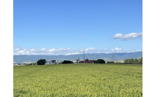 QQ01　令和７年産　ななつぼし　玄米30kg