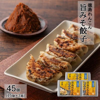 ふるさと納税 鳴門市 徳島れんこん旨みそ餃子