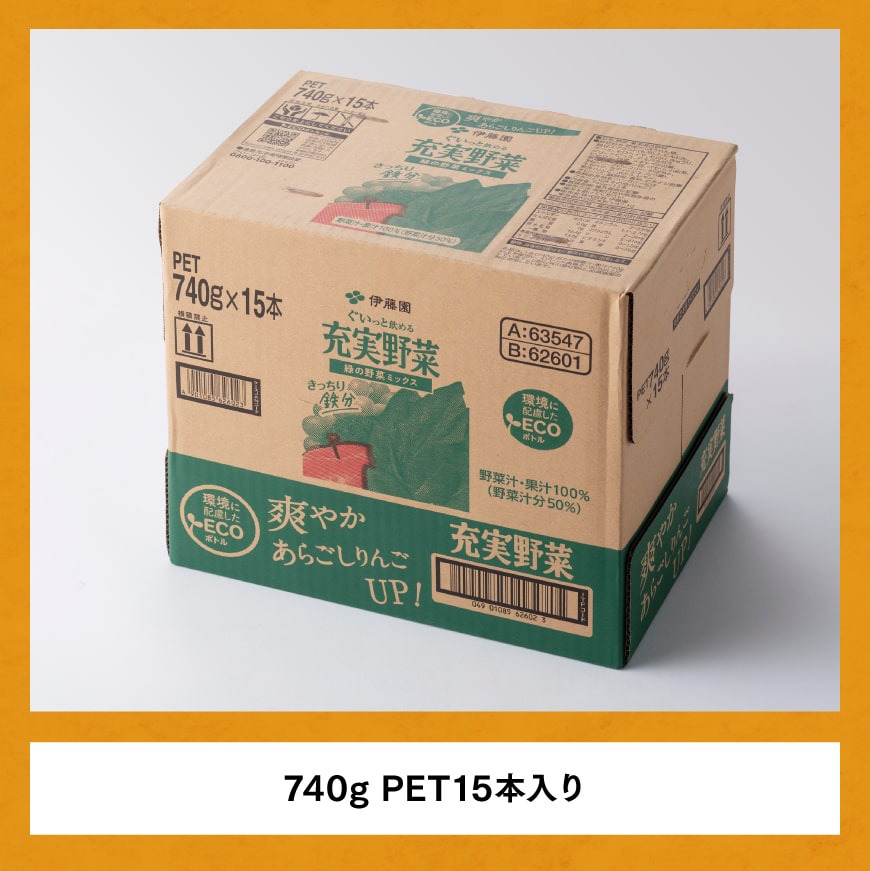 充実野菜 緑の野菜ミックスペットボトル 740g×15本　3ヶ月定期便　野菜ジュース[E7367t3]