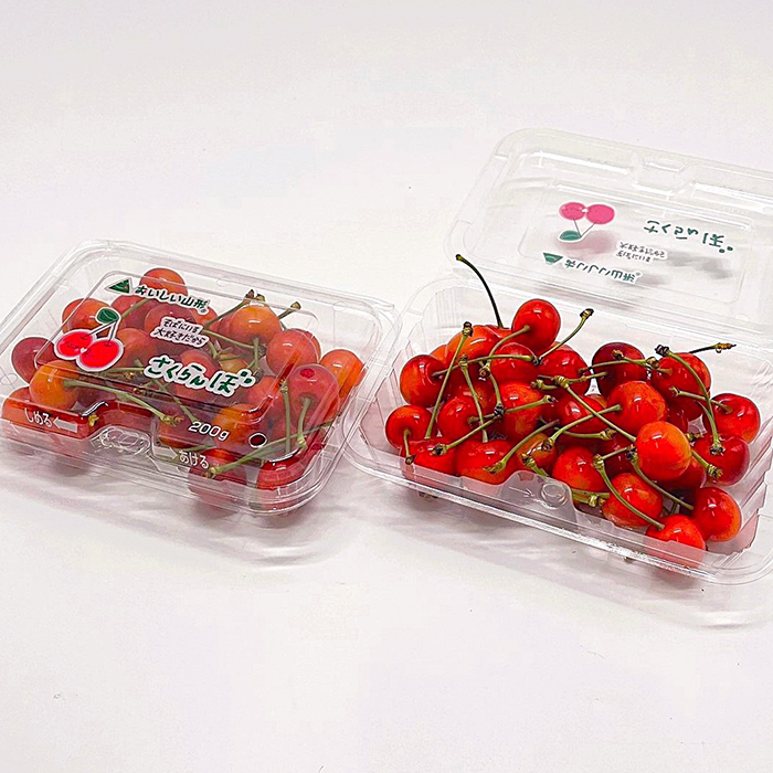 【定期便5回】おいしい！ジューシー！山形フルーツ　バラエティ定期便  FY25-821