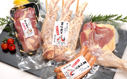 
天草大王【アウトドアセット】幻の鶏 キャンプ BBQ 骨付き もも肉 500g!! 大手羽先 ソーセージ ブツ切りミックス
