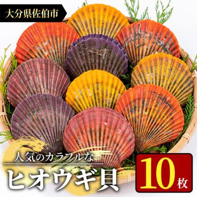 ふるさと納税 佐伯市 ヒオウギ貝 (10枚)