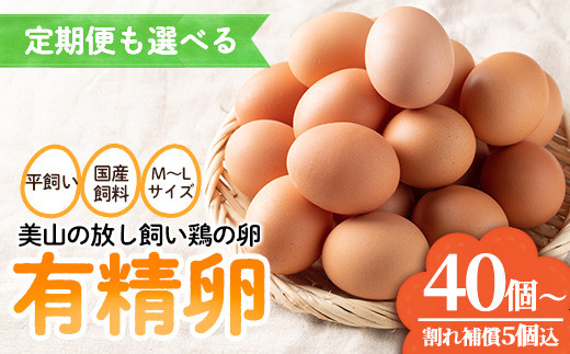 
                  No.781/No.782 ＜定期便も選べる！＞鹿児島県産有精卵(40個/定期便・40個×6回連続) 割れ保証付 国産 九州産 鹿児島県産 たまご タマゴ 有精卵 卵 鶏卵 生卵 おかず TKG 卵かけご飯 朝食 定期便 頒布会 数量限定【美山たまご王国】
                