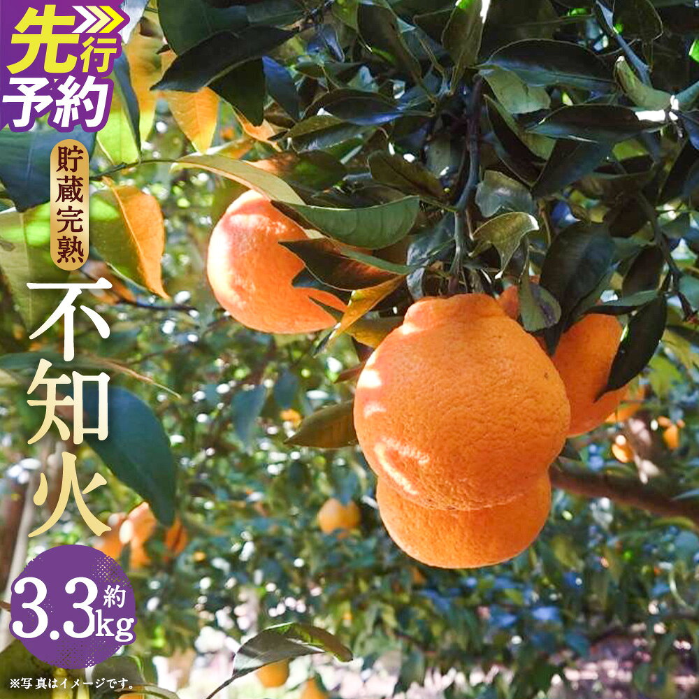 【ふるさと納税】数量限定 貯蔵 完熟不知火 約3.3kg フルーツ 蜜柑 柑橘 国産 長崎県産 九州産 デコポンと同一品種 送料無料【2027年3月上旬～4月下旬発送開始予定】