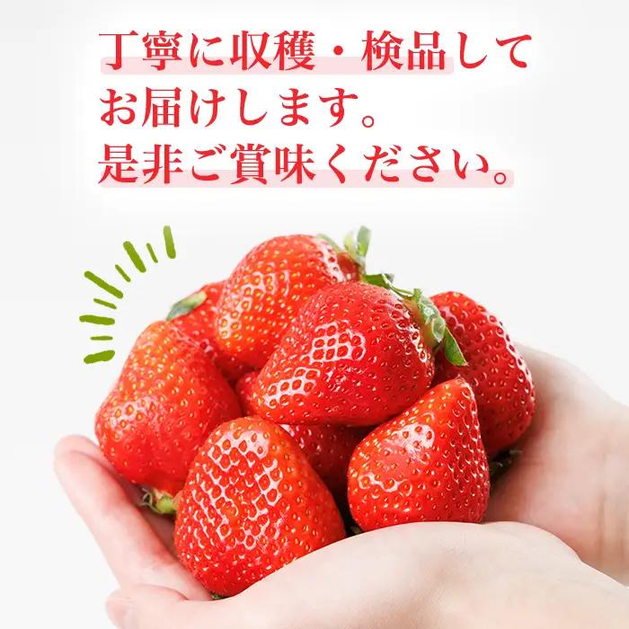 ＜数量限定・先行予約受付中！2027年1月中旬～2月上旬に順次発送＞福岡県産苺「あまおう」グランデ以上(計約540g)いちご 苺 フルーツ 果物 くだもの 福岡限定 家庭用 冷蔵 ＜離島配送不可＞【k