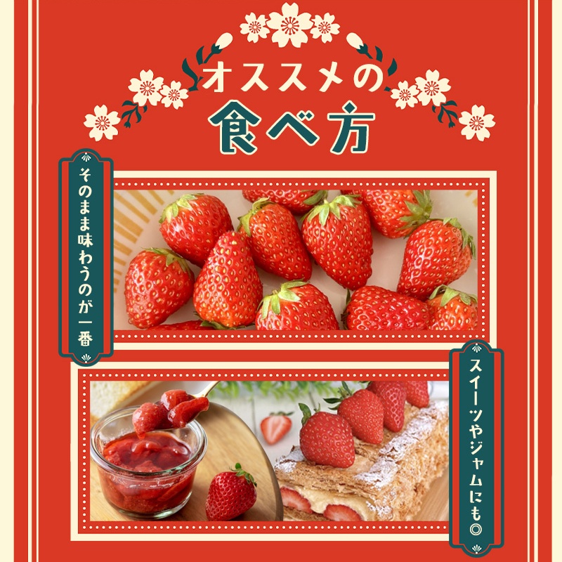 古都華 L～5Lサイズ 270g×4パック ／ 西田農園 ブランド いちご 苺 ことか フルーツ 果物 奈良県 葛城市