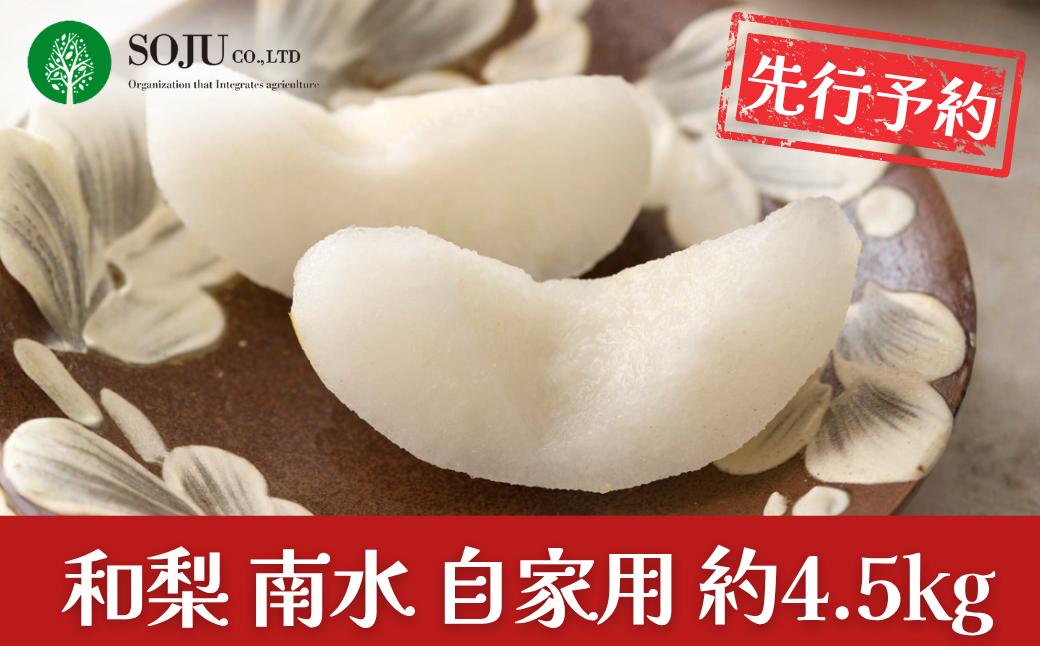 
                  先行予約 和梨 南水 自家用 約4.5kg 令和8年度 樹上完熟日本梨 新潟県 三条市産 [三条果樹専門家集団] 【010S830】
                