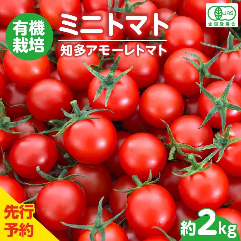 【先行予約】《11月中旬以降発送開始》有機栽培ミニトマト　知多アモーレトマト　約2kg｜トマト 野菜 知多市