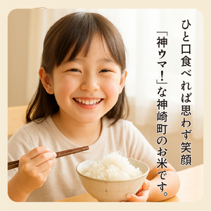 《先行予約・令和7年産新米》千葉県神崎町産ふさおとめ5kg×2袋｜早場米産地の新米を食卓へ｜9月以降順次発送予定｜数量限定[025-a001]