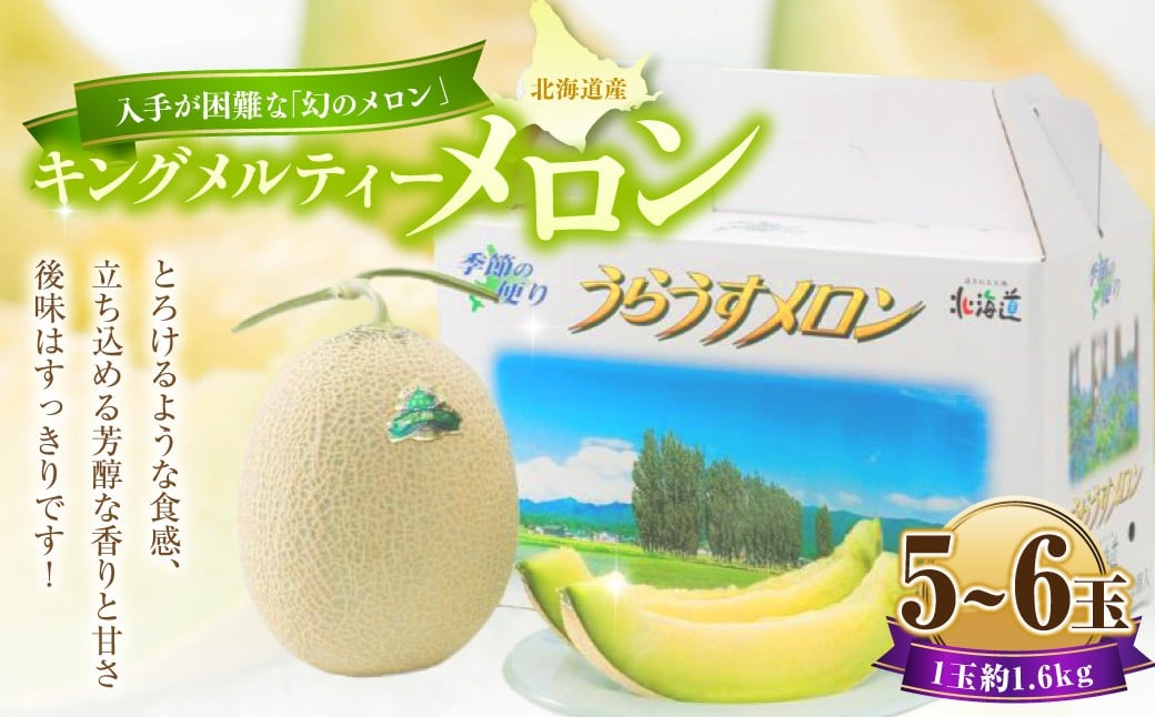 
            キングメルティーメロン 5～6玉（1玉 約1.6kg） 【2026年7月上旬～7月下旬迄順次発送予定】 果物 フルーツ メロン めろん 青肉 希少フルーツ 希少品 北海道 浦臼町
          