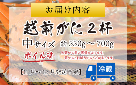 【先行予約】越前港より直送！ 越前がに 中 (約550g～700g) 2杯 ※発送前に在宅確認の電話連絡をいたします!【11月～12月発送】 海鮮  ボイル 