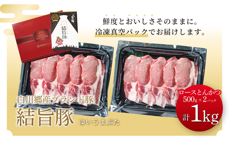 結旨豚 ロース とんかつ 500g×2パック 計1kg 冷凍真空パック | 肉 お肉 豚肉 国産 白川郷 岐阜県 白川村 ブランド豚 人気 おすすめ ギフト 飛騨高山ミート 11000円 [MS007
