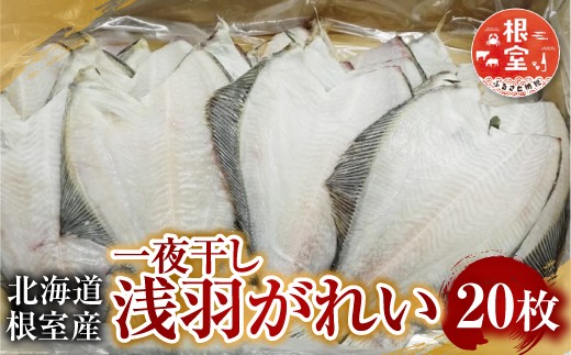 A-11059 【北海道根室産】一夜干し浅羽がれい20枚