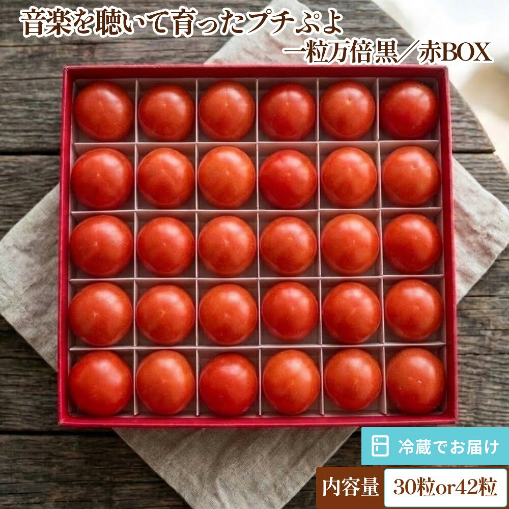 【ふるさと納税】音楽を聴いて育ったプチぷよ??一粒万倍 黒／赤BOX【30粒or42粒】