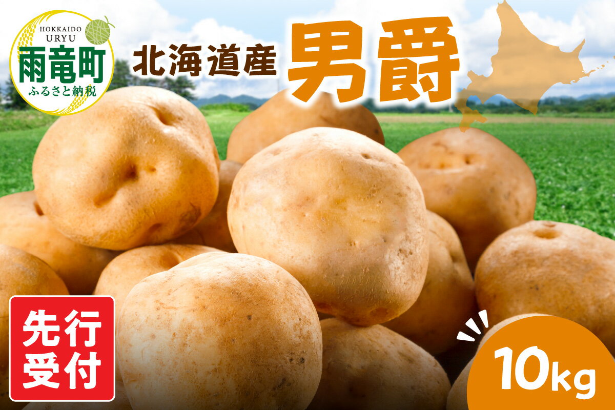 【ふるさと納税】【令和8年産先行予約】北海道産 じゃがいも 「男爵」 S～LLサイズ10kg《 9月より発送 》 じゃがいも 男爵 10kg お取り寄せ 北海道産 芋 野菜 ポテト じゃがバター 肉じゃが コロッケ ポテトサラダ ポテトチップス お取り寄せ 北海道 雨竜町