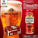 【ふるさと納税】6日以内発送 ビール キリン 500ml 24本 スプリングバレー 豊潤 496 KIRIN SPRING VALLEY | 缶ビール クラフトビール キリンビール 24缶 1ケース 500 24 酒 お酒 さけ sake アルコール 人気 おすすめ ギフト 麒麟 滋賀 彦根