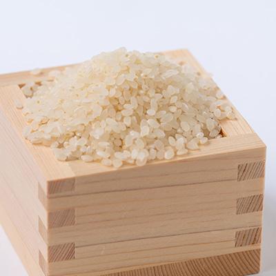 ふるさと納税 いなべ市 令和6年産　キヌヒカリ 10kg |  | 03