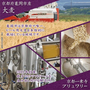 クラフトビール 霧の都 330ml×5本 セット お酒 ビール 地ビール