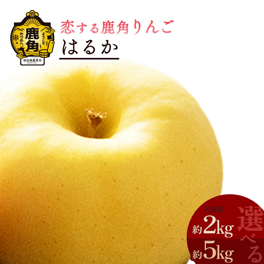 【ふるさと納税】 《 先行予約 》 秋田県 鹿角産 りんご はるか 2kg 5kg かづのりんご 食感 果汁 さっぱり リンゴ 完熟 旬 県産りんご お中元 お歳暮 贈り物 グルメ 秋田 あきた 鹿角市 鹿角 秀 甘い 蜜 送料無料 【恋する鹿角カンパニー】
