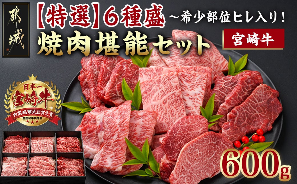 
≪希少部位ヒレ入り!≫ 宮崎牛【特選】6種盛 焼肉堪能セット 600g_22-6502_(都城市) 宮崎県産 宮崎牛 焼肉6種盛 各100g ロース 肩ロース ヒレ ウデ バラ モモ 国産牛 ブランド牛 ギフト 贈答用にも
