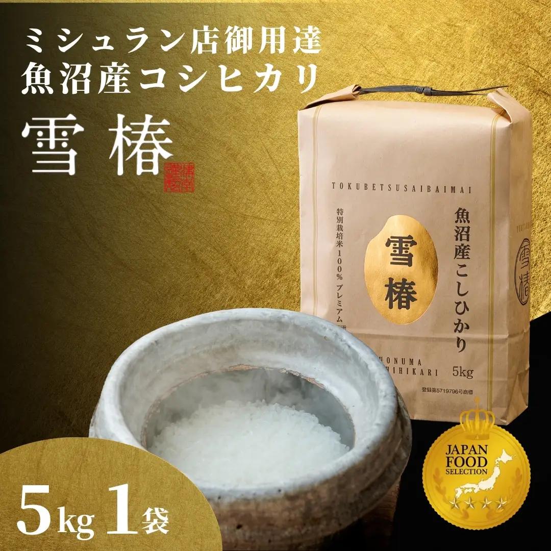【寄付額見直し】魚沼産コシヒカリ 雪椿 5kg (5キロ×1袋) 特別栽培  | 魚沼 津南町 令和7年産