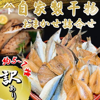 ふるさと納税 南知多町 【訳あり】自家製干物おまかせ詰合せ 約5〜7種