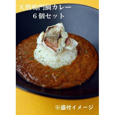 ふるさと納税 徳島市 天然鳴門鯛カレー　6個セット【BA017】
