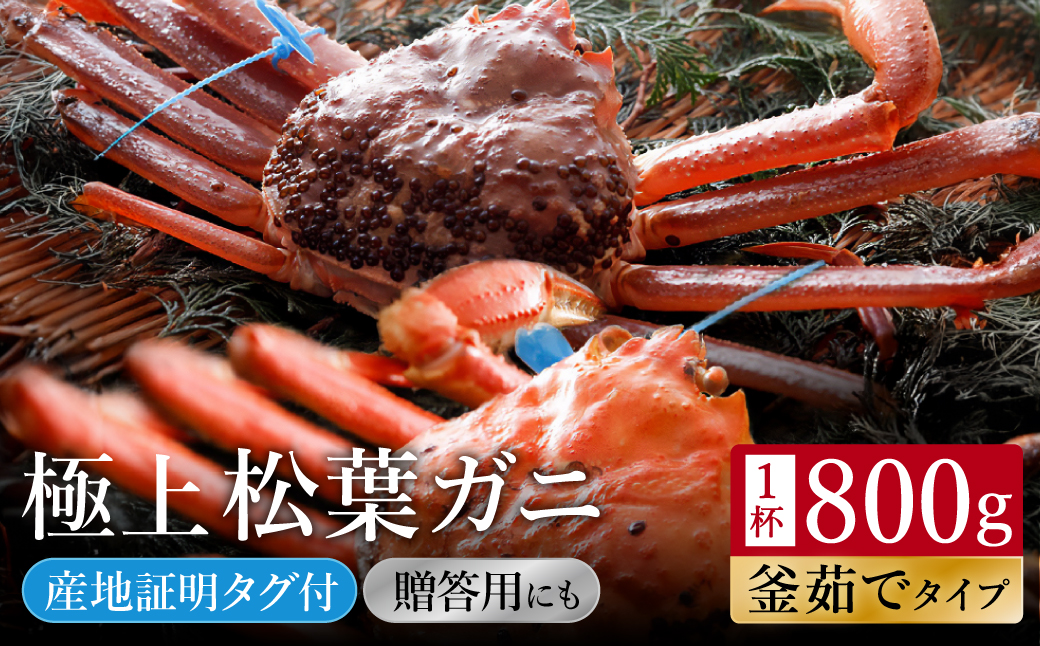【kinosaki spa&gardens　湯楽使用】タグつき 釜茹で松葉ガニ　約800ｇ
