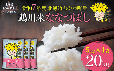 （精米20kg）鵡川米ななつぼし 令和7年産 【ふるさと納税 人気 おすすめ ランキング 米 コメ こめ お米 ななつぼし20kg ご飯 白米 精米 国産 ごはん 白飯 北海道 むかわ町 送料無料 】MKWAI004