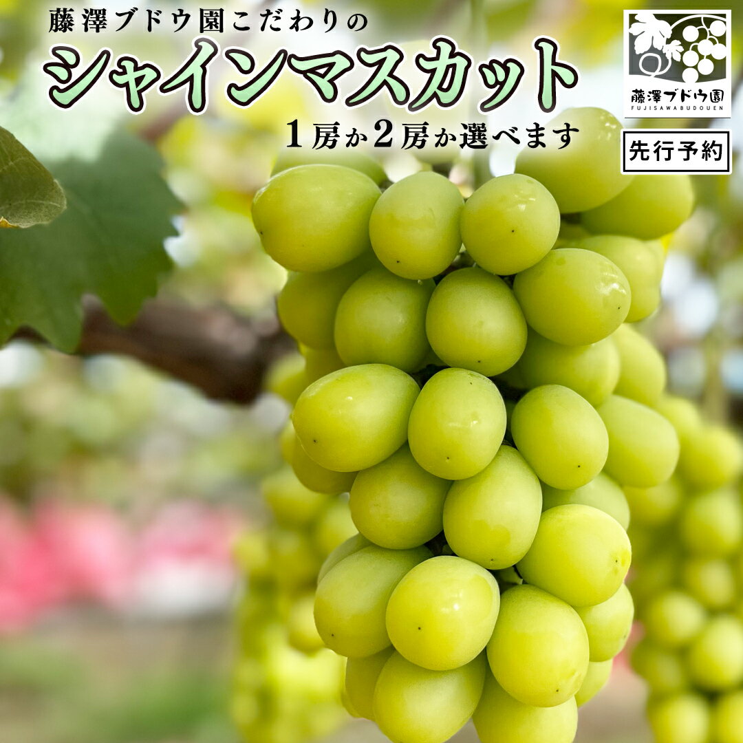 【ふるさと納税】【 藤澤ブドウ園 】 こだわり の シャインマスカット ( 選べる 内容量 ) 2025年産 先行予約 1房 2房 ぶどう ブドウ 葡萄 フルーツ