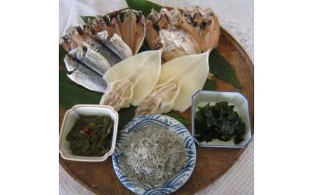 萩のおいしいお魚セット 6種 あじ のどぐろ イカ 一夜干し わかめ ちりめん｜HG001050