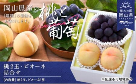 桃 ぶどう  桃2玉・ ピオーネ 1房 詰合せ（クール便）｜ ぶどう ぶどう