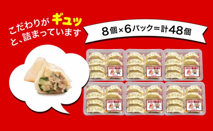 「宇都宮餃子館」スタミナ健太餃子 960g（48個）≪ギョーザ 冷凍餃子 冷凍食品 グルメ 食品 惣菜 中華惣菜 点心 中華≫_イメージ2