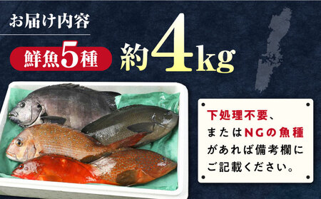 【期間限定！】対馬産 鮮魚 詰め合わせ 5種前後 4.0ｋｇ《対馬市》【対海】新鮮 天然 直送 冷蔵 セット[WAH022]
