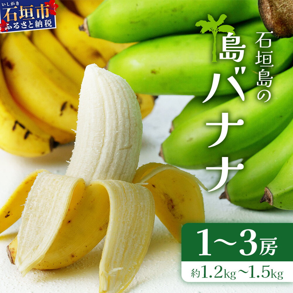 【ふるさと納税】＜先行予約＞石垣島の島バナナ、1～3房（約1,2～1,5kg前後入り）《4月中旬～順次発送》爽やか酸味のスッキリ系バナナ、少し冷やしてもイイんです！ SI-33