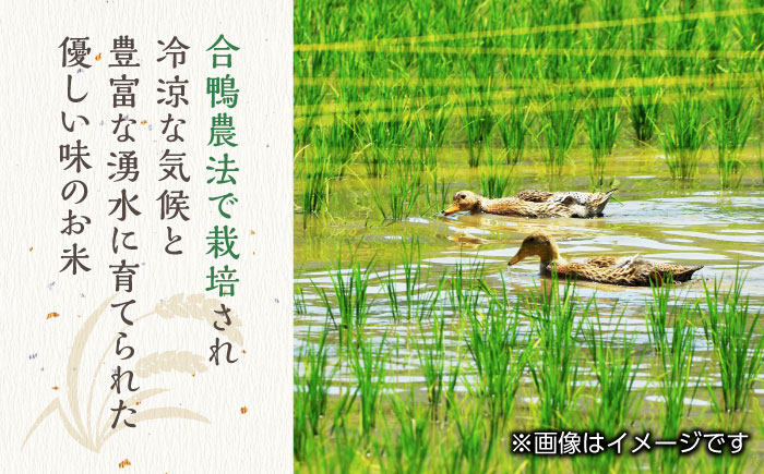 令和5年産  矢部米 合鴨栽培米 10kg (5kg×2袋) お米 合鴨農法 合鴨米 熊本産 ヒノヒカリ ひのひかり【一般社団法人 山都町観光協会】[YAB035]