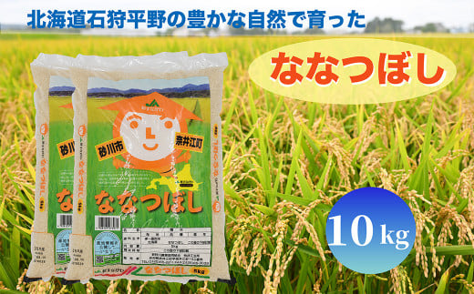 北海道奈井江町　ななつぼし　10kg