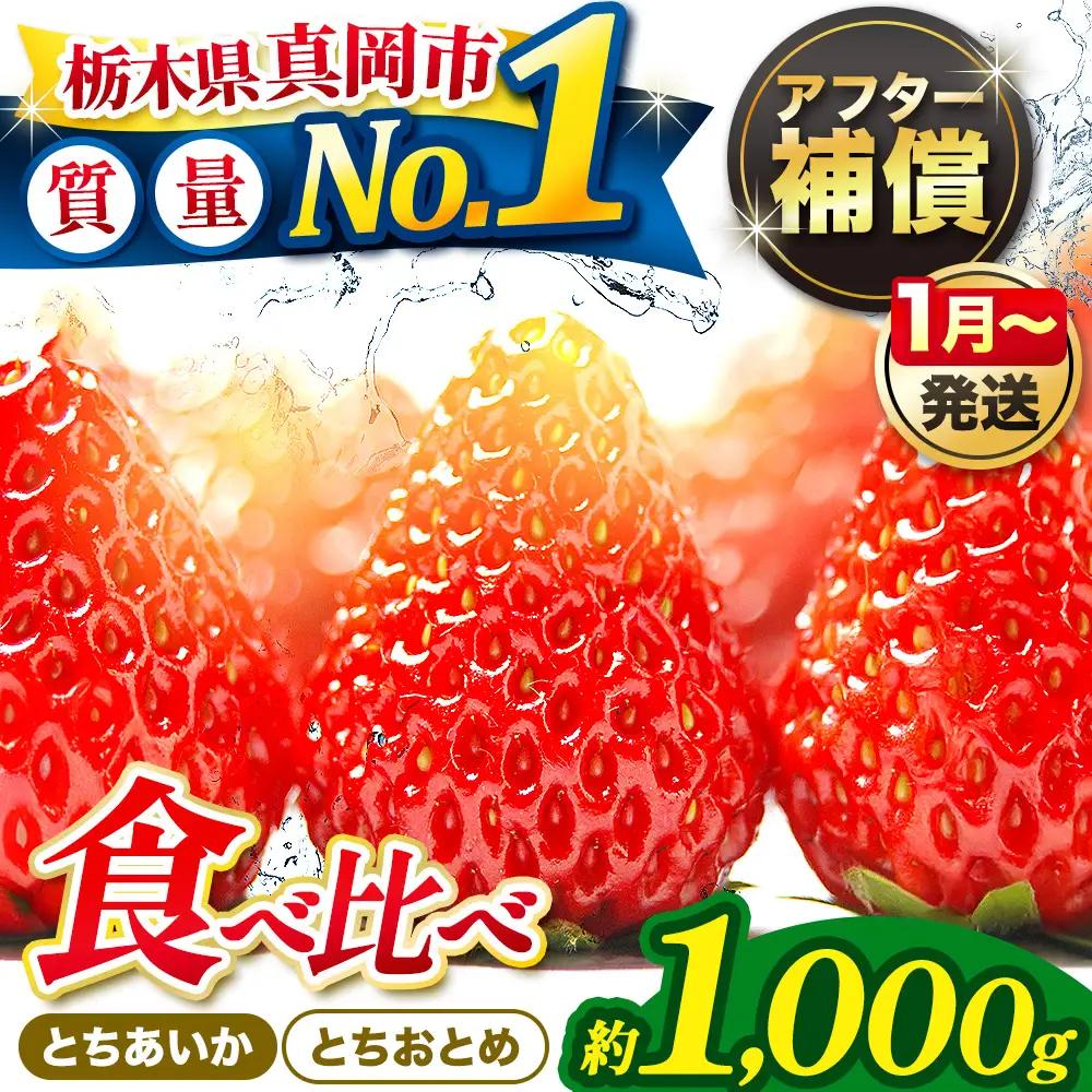 【先行予約受付中】【2027年1月発送】いちご とちおとめ・とちあいか 食べ比べ 1,000g
