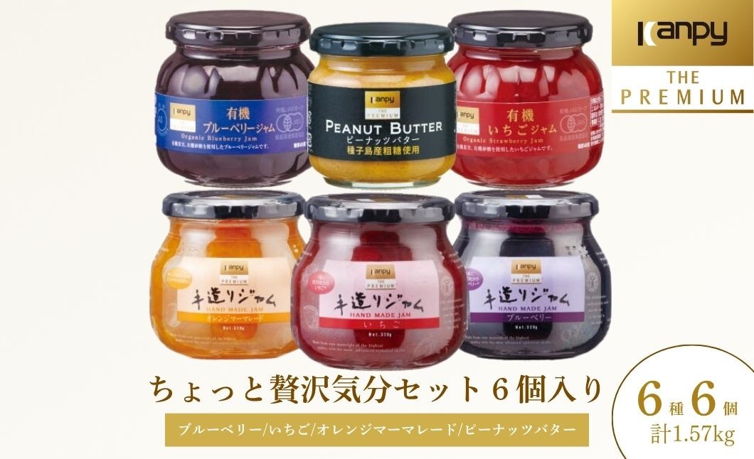
                  【10月～6月発送】ちょっと贅沢気分セット 6個入り 計1.57kg 兵庫県 丹波篠山市 ジャム フルーツ ギフト 果物 詰め合わせ カンピー いちご ブルーベリー マーマレード ピーナッツバター
                