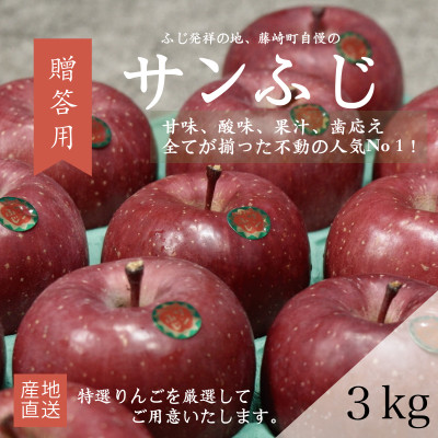 【産地直送】サンふじ　贈答用約3kg(7～10個)【配送不可地域：離島・沖縄】【1361566】