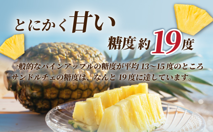 【先行予約】《2025年夏季 順次発送》サンドルチェ大玉2～3個 計2.4kg　SI-41