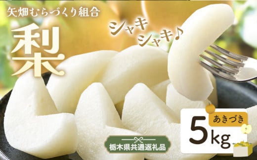 N09 梨 なし あきづき 5kg フルーツ 先行予約 矢畑むらづくり組合《9月上旬-9月下旬頃出荷》 栃木県【栃木県共通返礼品　栃木県産】【配送不可地域あり】(離島)