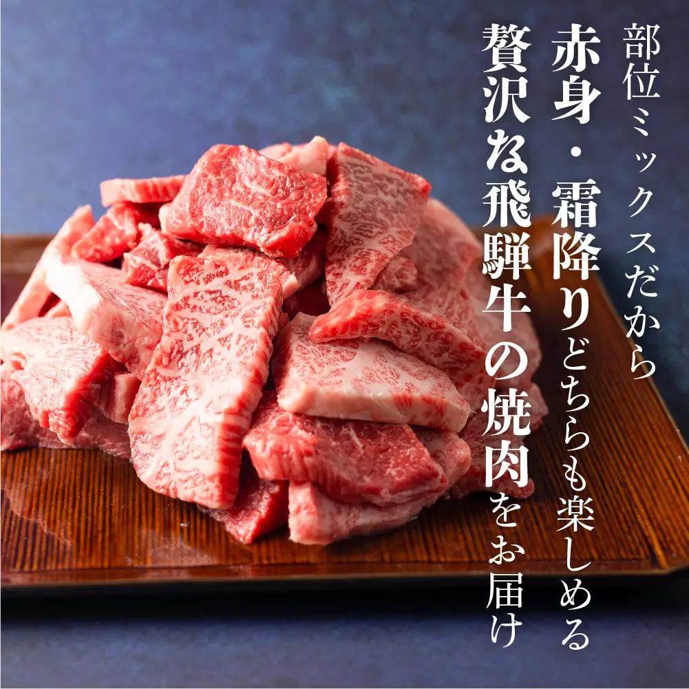 訳あり 飛騨牛焼肉切落し 500g  |  牛肉 牛肉 [BV031]　FN-Limited-SP