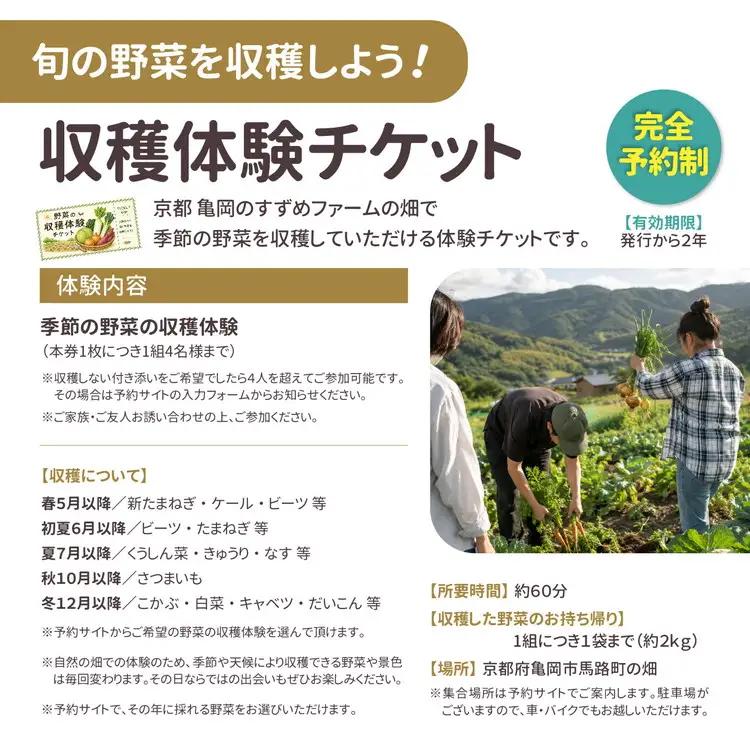 京野菜セット 定期便 5回 30kg オーガニック 野菜収穫体験付き