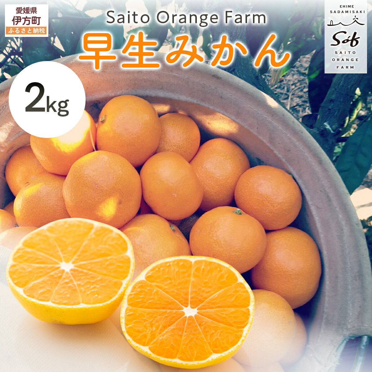【ふるさと納税】【先行予約】Saito Orange Farmの早生(わせ)みかん2kg（2026年11月下旬頃より順次発送予定）ふるさと納税 人気 おすすめ みかん ミカン 蜜柑 柑橘 早生みかん フルーツ 果物 西宇和 産地直送 Saito Orange Farm 愛媛県産 愛媛県 伊方町 送料無料 IKTAQ034