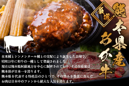 ステーキマニア監修 熊本県産 あか牛 100% 生ハンバーグ 140g×13個入り 合計1820g 《60日以内に出荷予定(土日祝除く)》熊本県産あか牛 バイキングベーカリー 冷凍 ハンバーグ
