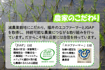 【令和5年産】おおかわさんちの華越前 玄米 30kg [C-10801]