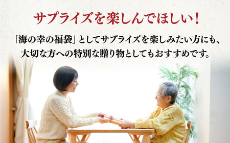 【何が届くかお楽しみ】旬の海の幸 福袋 寄附額2万円相当 魚介類 海産物 海鮮 刺身 広島 江田島市/七宝丸[XBY005]刺し身海鮮魚介類セット刺身