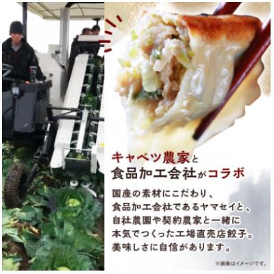 ふるさと納税 磐田市 秀餃子 120個(40×3箱)2.4kg 国産野菜と肉の新鮮さにこだわった本気のぎょうざ 国産 冷凍 |  | 01
